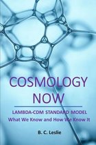 Cosmology Now