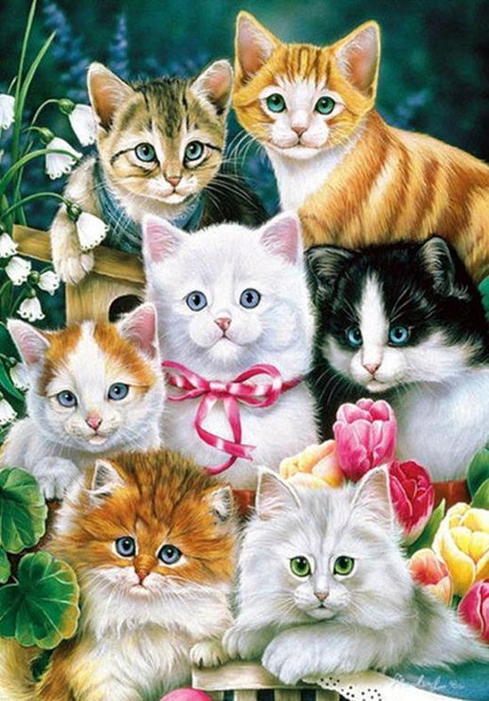 Diamond Painting Katten 30 x 40 Pakket voor