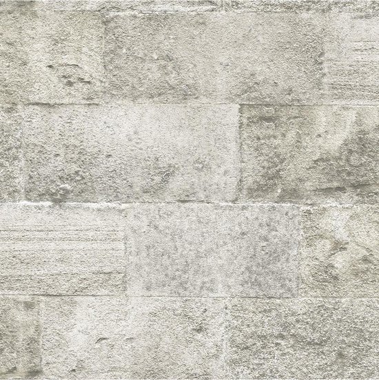 sociaal binden Plantkunde Palma beton grijs muur (vliesbehang, grijs) | bol.com