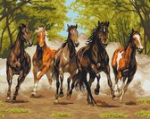 HappyHobby Diamond Painting Speelse Paarden - 35x45cm