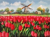 Tulip field, red tulips, and a windmill 30x40CM/12x16INCH