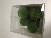 Lichtsnoer met groene bolletjes
