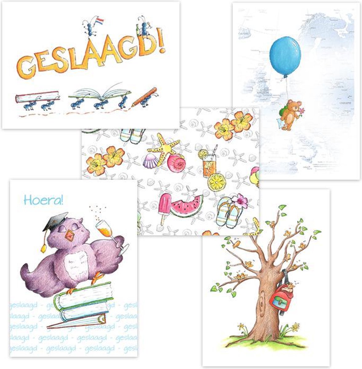 Geslaagd kaarten | Set van 5 | Illu-Straver