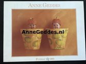Anne Geddes - 57626 - puzzel / puzzle / legpuzzel - Blatz - Pompoenen baby's - 900 stuks