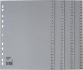 Tabblad ELBA A4 11R PP 1-100 grijs/se100