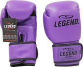 Gants de boxe violet powerfit & Protect 14 oz
