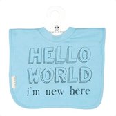 Frogs and dogs slab hello world-blue
