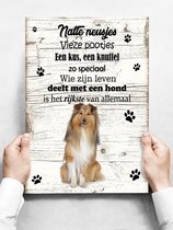 Wandbord hond: Shetland Scheepdog (Sheltie) - 30 x 42 cm