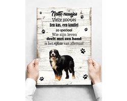 Wandbord hond: Berner Sennen - 30 x 42 cm