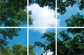 Wolk-bos plafond | Fotoprint | 6 panelen | 60x60 cm