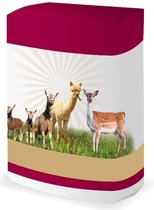 Alpabas - Alpacabrok - Alpacavoer eiwit- & energiekorrel 20kg