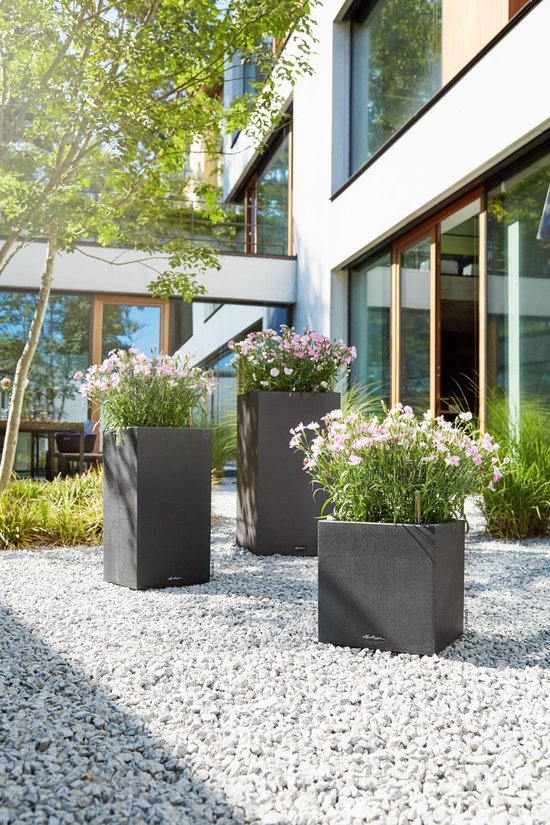 Lechuza Pflanztopf Canto Stone 30 low graphitschwarz 13702 hier | im  online kaufen