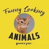 Funny Looking Animals
