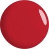 Starterkit Scarlet Red