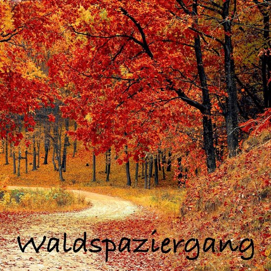 Waldspaziergang: Naturgeräusche und Meditationen (ohne Musi ... - cover