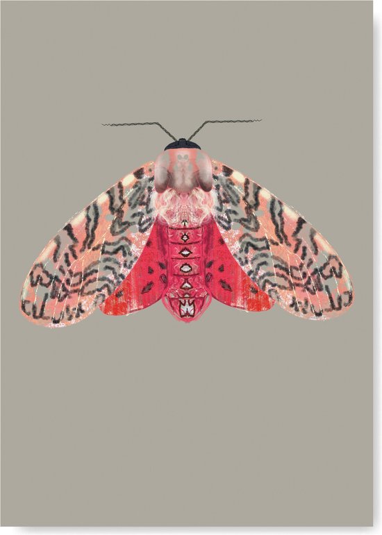 Kunst Poster - Dieren - Mot roze rood  A3 Formaat - Kunstprint van Natuurlijk Angelart