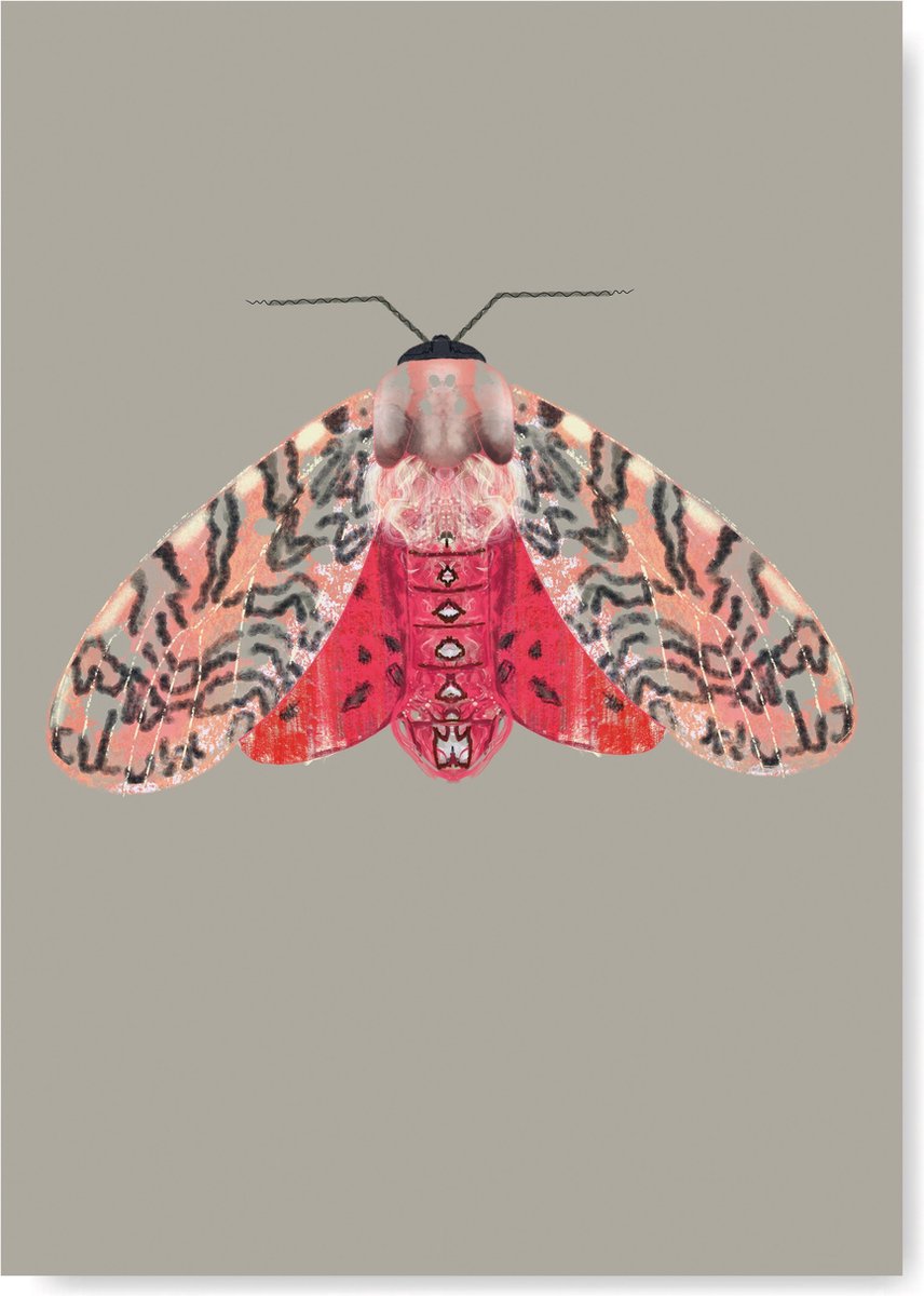 Kunst Poster - Dieren - Mot roze rood A3 Formaat - Kunstprint van Natuurlijk Angelart