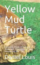 Yellow Mud Turtle