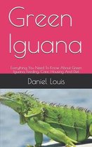 Green Iguana