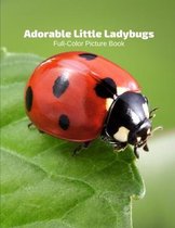 Adorable Little Ladybugs Full-Color Picture Book