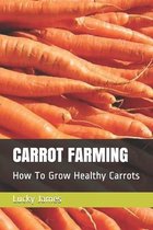 Carrot Farming