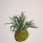 Onderhoudsvrije Kokedama - moskleur: Spring Green - afm. 13 cm - eucalyptus