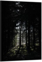 Dibond –Silhouetten van Bos– 30x40cm Foto op Aluminium (Wanddecoratie van metaal)