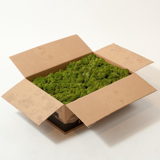 Scandinavian Moss IJslands rendiermos, gestabiliseerd mos Scandinavian Moss IJslands rendiermos, gestabiliseerd mos