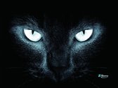 Muismat kat zwart - Sleevy - mousepad - Collectie 100+ designs