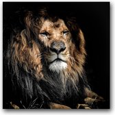 MN Collections - Schilderij - Animal Photography. - Zwart, Wit En Bruin - 80 X 80 Cm