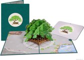 Popcards popupkaarten - Bonsai boompje in Japanse tuin met Koi karpers Pensioen Troost pop-up kaart 3D wenskaart