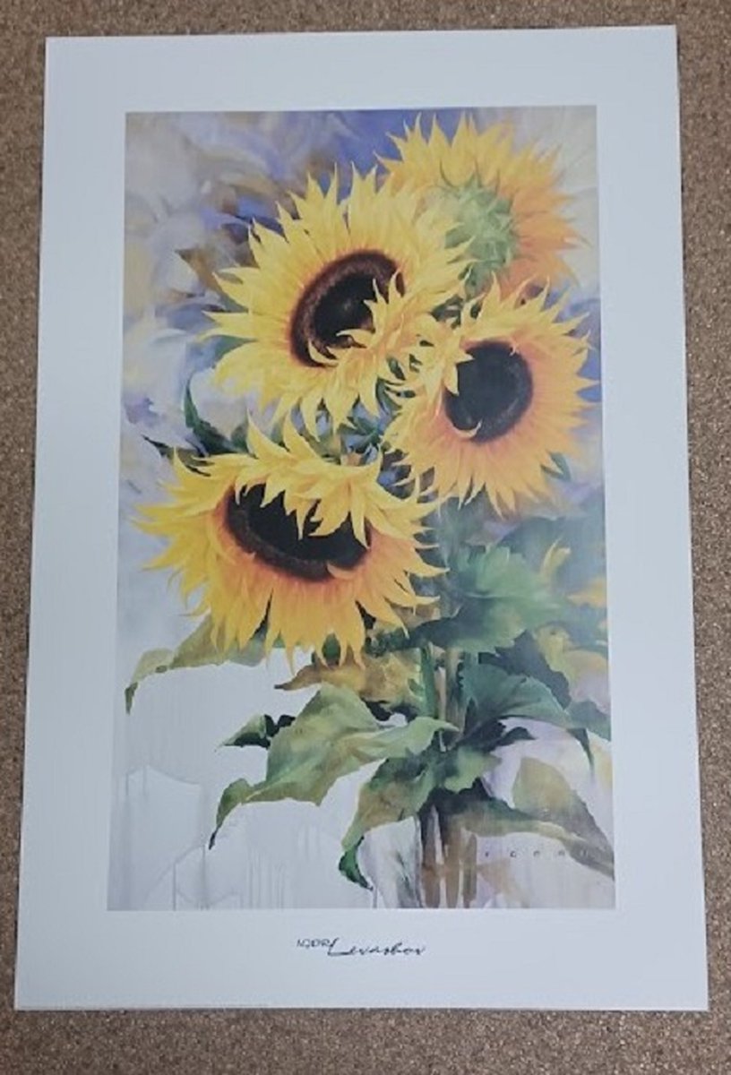 poster Verkerke Igor Levashov - Sunrise 62 x 93 cm