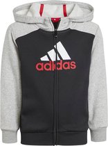adidas Sportswear Essentials Big Logo Fleece Trainingspak Kids - Kinderen - Grijs- 116