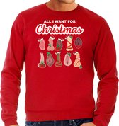 Bellatio Decorations foute kersttrui/sweater heren - All I want for Christmas - piemel/vagina -rood L