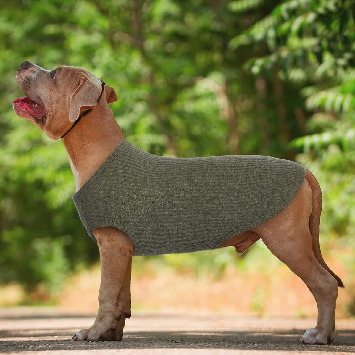 Huisdier Hond Coltrui Breien Trui Jas Winter Warmer Verdikking Pullover Knitwear Gehaakte Jas Kleding voor Kleine Medium Grote Hond Puppy Kat (S, Zwart