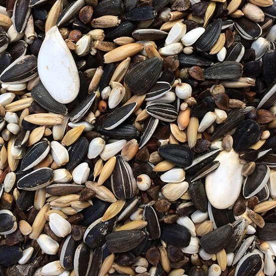 Aviseed Afrikaanse Papegaaien Voer 15kg – Grijze Roodstaart