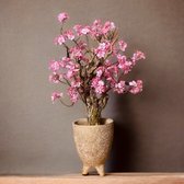 Seta Fiori - Kersen Bloesemboom - 75cm - Kunstboom - Donker roze - Kerselaar