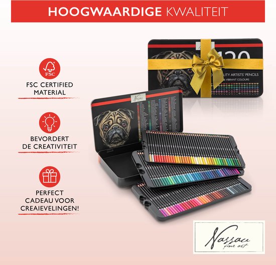 Nassau Fine Art Professional 120 Crayons de couleur de couleur | Jeu de caractères | Couleurs riches et vives | Crayons de couleur professionnels pour enfants et adultes