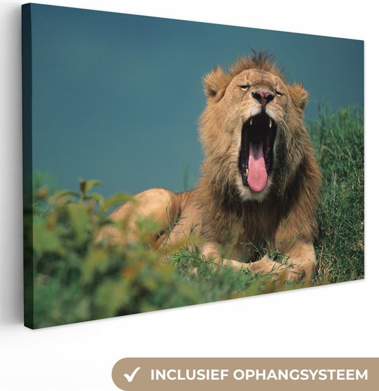 Canvas Schilderij Leeuw - Wild dier - Savanne - 90x60 cm - Wanddecoratie