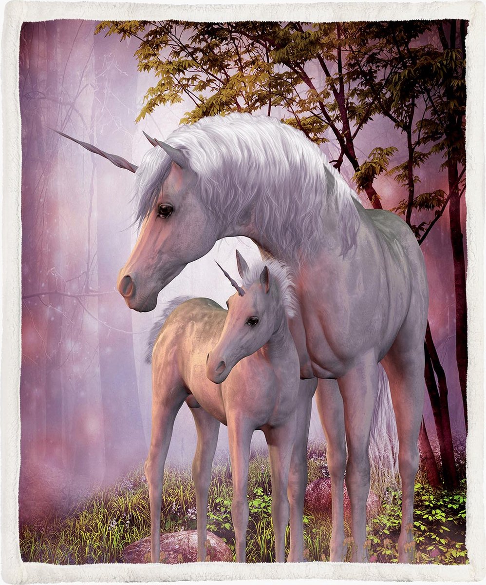 The Coloured House Eenhoorn Fleece Deken 130*150cm Unicorns Forest Multicolor