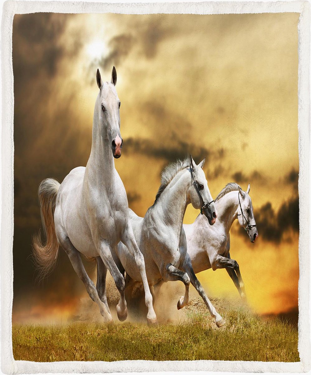 The Coloured House Paarden Fleece Deken 130*150cm Running Horses Multicolor