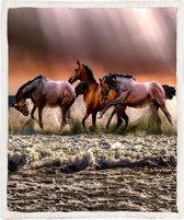 Paarden Fleece Deken 130*150cm Running Dark Horses