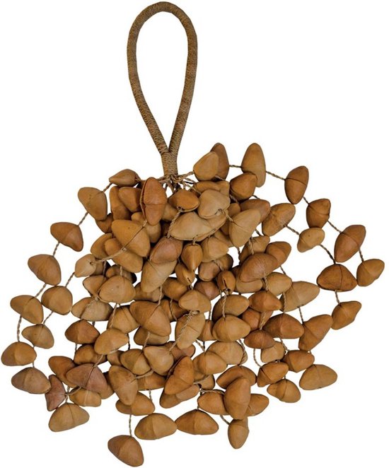 Foto: Terr seed shaker xxl cha cha nut shaker