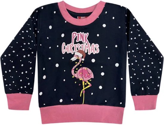 Kerst - Flamingo - sweater - meisjes - Pink Christmas - blauw/roze - maat 152/158