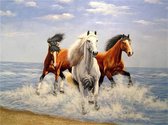 TOPMO - Paarden op het strand - Diamond painting pakket - HQ Diamond Painting - VOLLEDIG dekkend - Diamant Schilderen - voor Volwassenen – ROND- 40X50CM