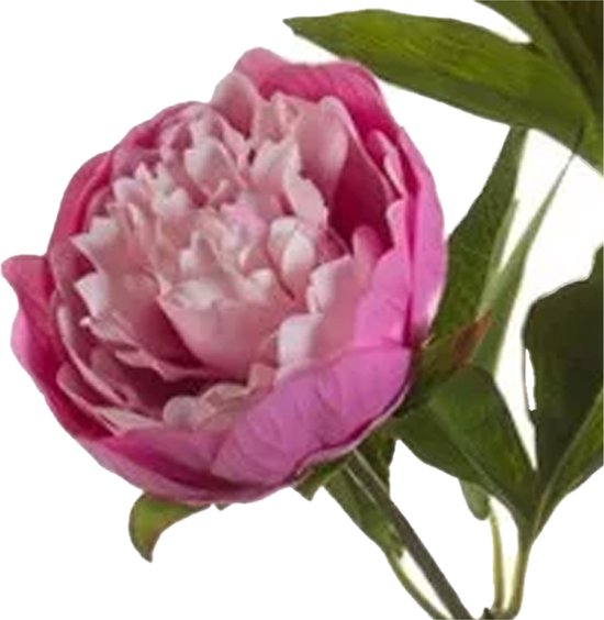 Branche de pivoines artificielles Emerald - 5x - 3 fleurs - rose - 70 cm - décoration