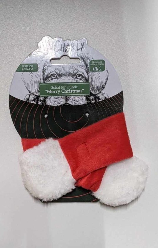 Kerstkostuum
