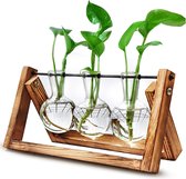 bloemenvaas vintage decoratieve vazen, glazen plantenbak glazen vaas met houten houder, houten voortplantingsstation reageerbuis tafelvaas, cadeau voor plantenliefhebbers