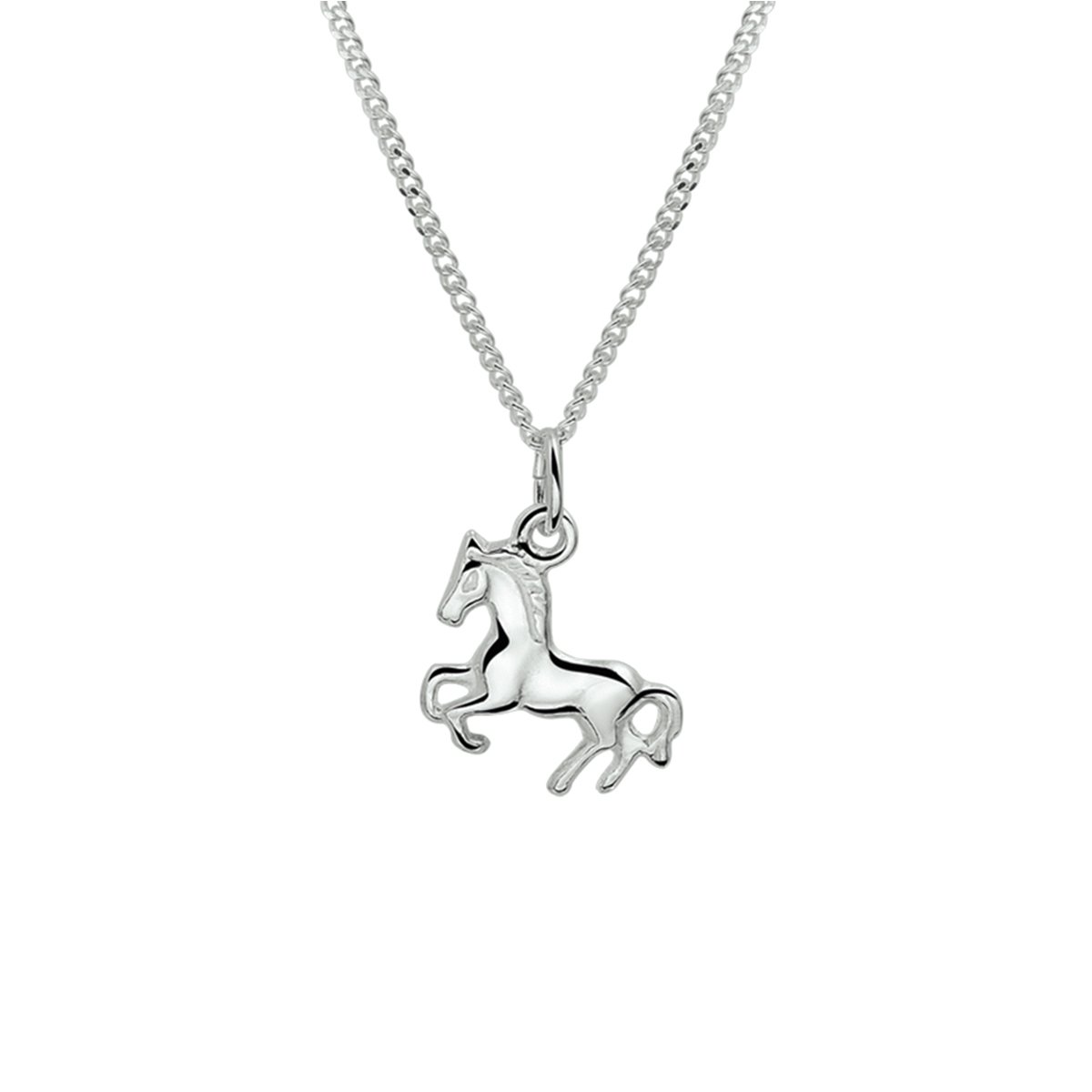 Zilveren Collier paard 1 1020135