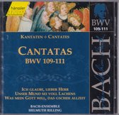 Cantatas BWV 109-111 - Johann Sebastian Bach - Bach-ensemble o.l.v. Helmuth Rilling